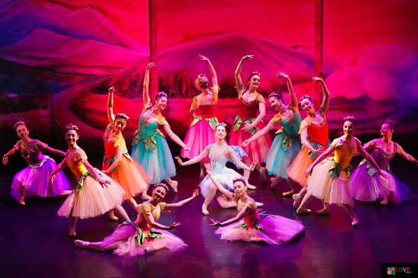 American Repertory Ballet&#39;s Nutcracker at Two River Theater