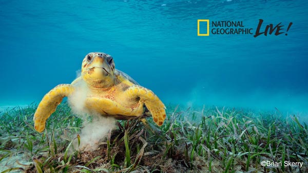 Grunin Center Hosts National Geographic Photographer Brian Skerry with ...