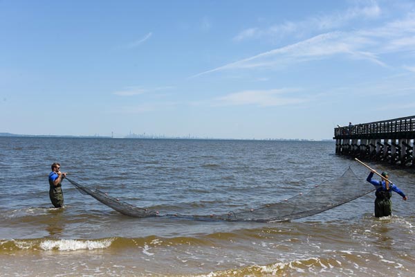 Monmouth County Park System to Host Seining Along Sandy Hook Bay