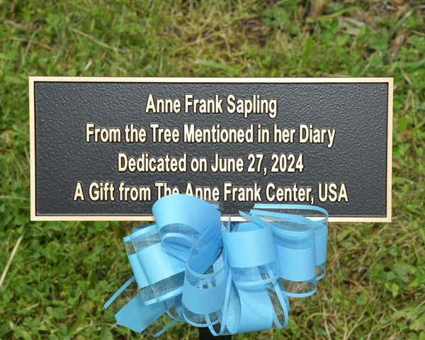 RVCC Dedicates Sapling from Original Tree Mentioned in Anne Frank